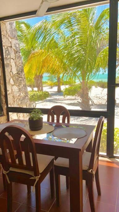 Beachfront Apartment With Swimming Pool. One Bedroom Celestun Exterior foto